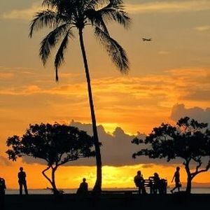 Meet your Posher, Steven